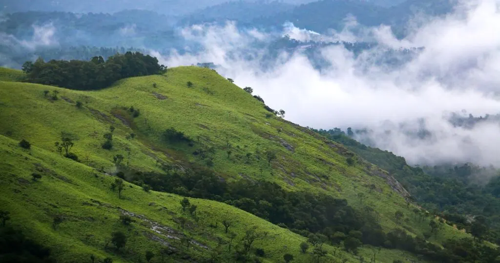 Green hills surrounded by clouds in Wayanad, a highland area in Kerala.