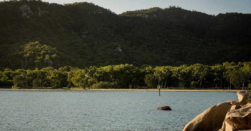 A beach backed by palm trees on Magnetic Island in Queensland.