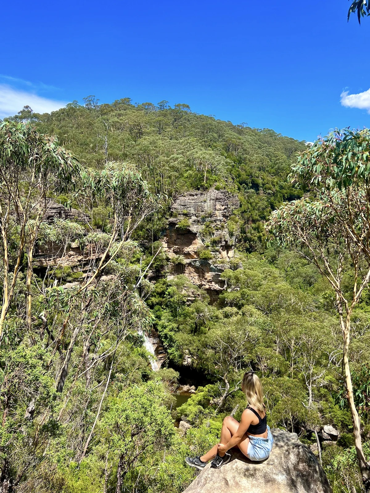 Woman sits on a rock overlooking Minnehaha Falls surrounded by dense jungle.