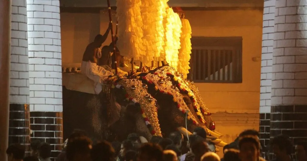 Elephant riders at a festival in Sree Poornathrayeesa Temple in Kochi.