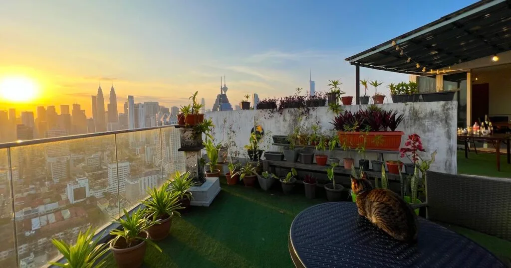 A cat sits on a table at Penthouse on 34 in Regalia Residence, overlooking a sunrise over Kuala Lumpur.