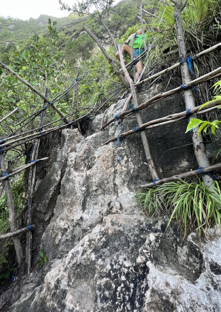 A steep rockface with bamboo poles on the hiking trail from Kelingking Beach.