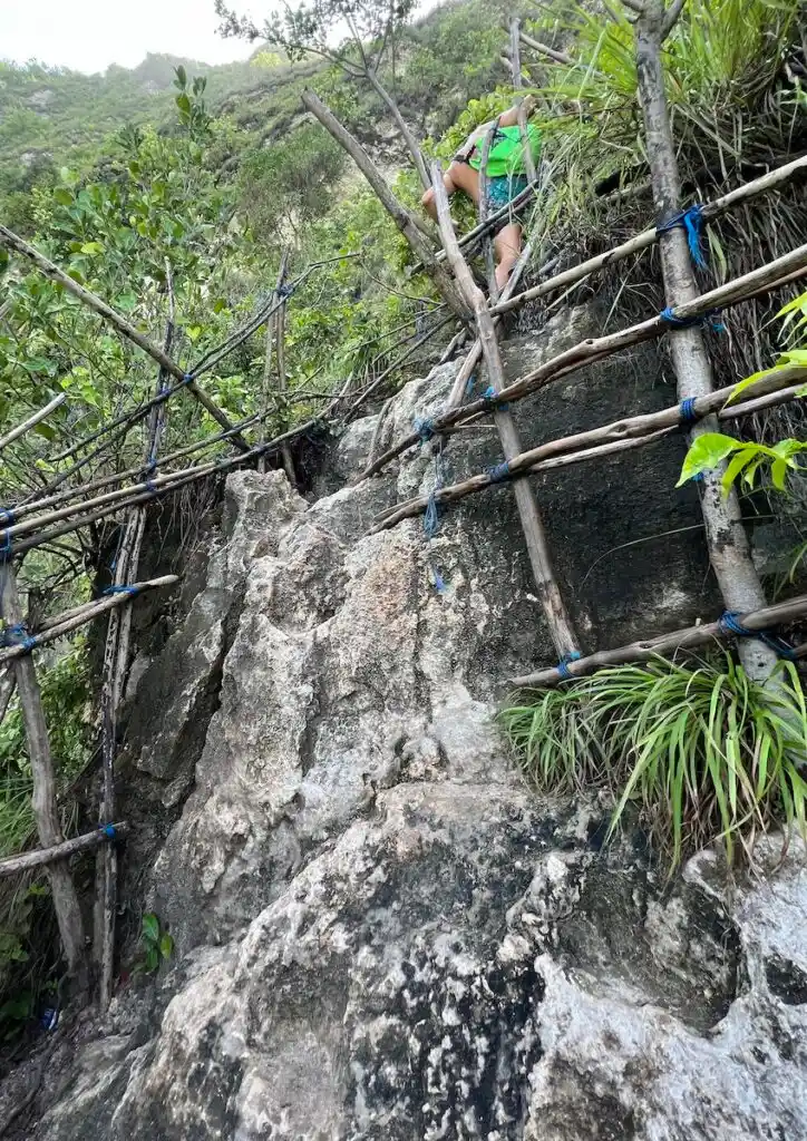 A steep rockface with bamboo poles on the hiking trail from Kelingking Beach.