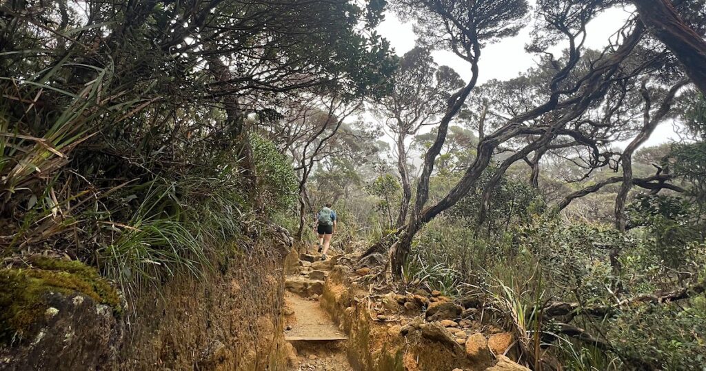 A hiker walks along a dirt trail through a misty forest, near the Kinabalu base camp.