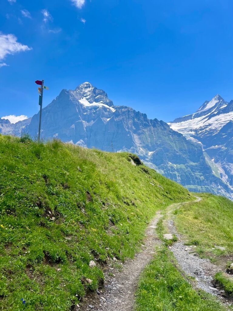 Narrow hiking trail winding through grassy alpine meadows towards snow-capped mountain peaks.