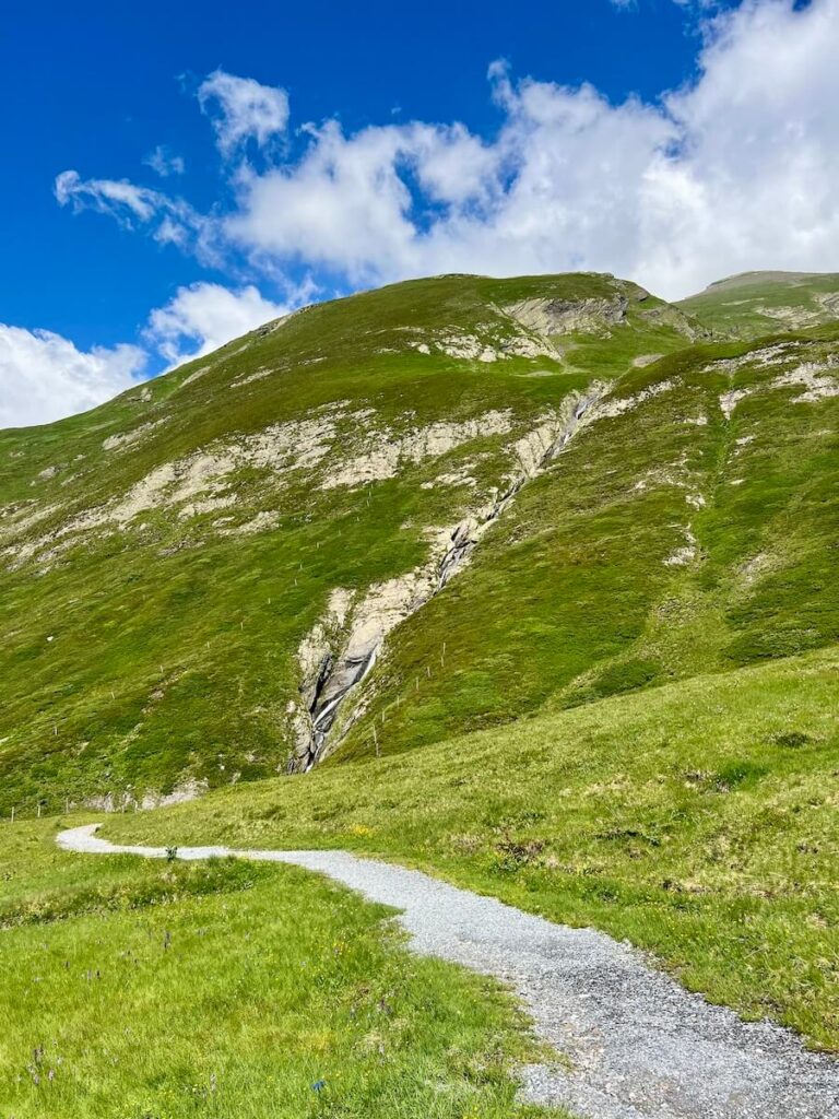 Narrow hiking trail leading through alpine meadows towards a rocky hillside with a small waterfall.